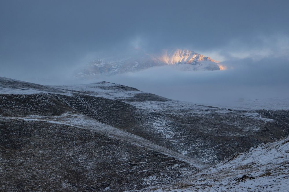 Фотография автора Шипунова Ирина