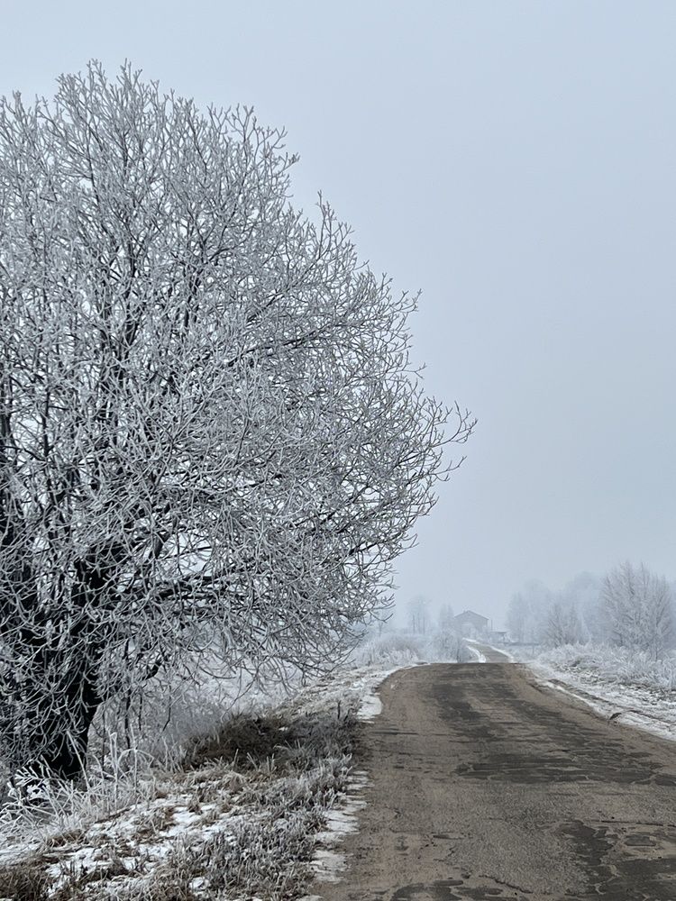Photograph by Ирина Артюх