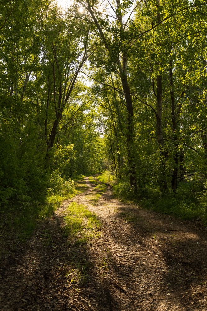 Photograph by Татьяна Гузева