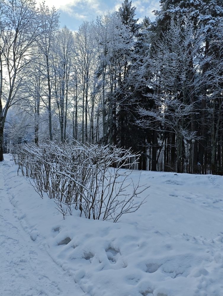 Photograph by Светлана Муравьева