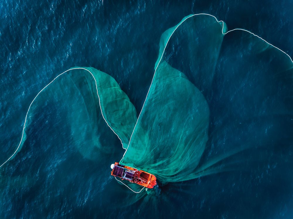 Photograph by Lê Huy Anh