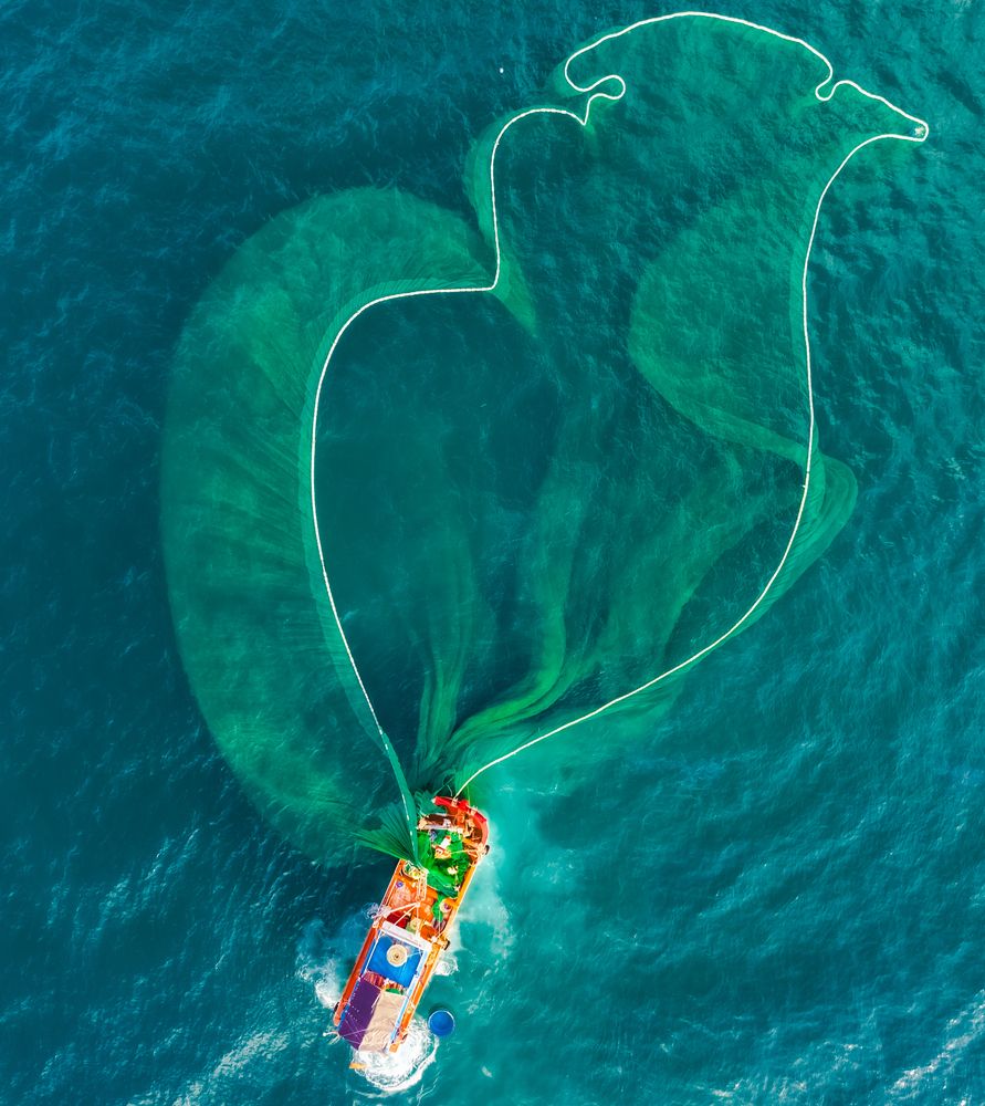 Photograph by Lê Huy Anh