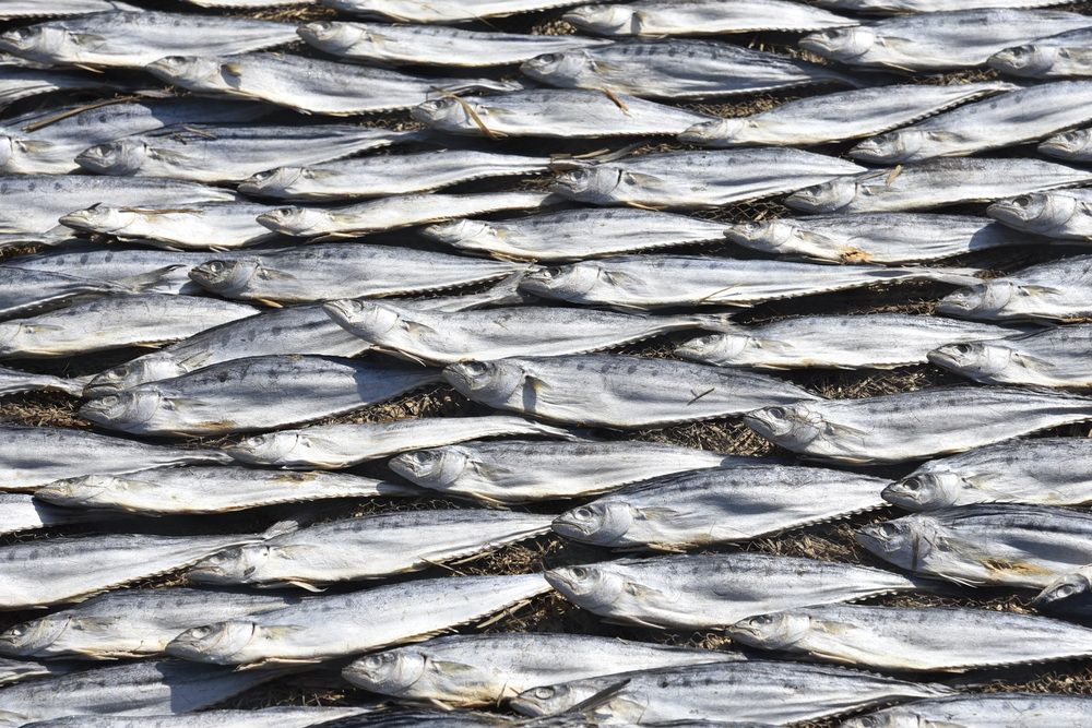 Photograph by Oleg Kogut