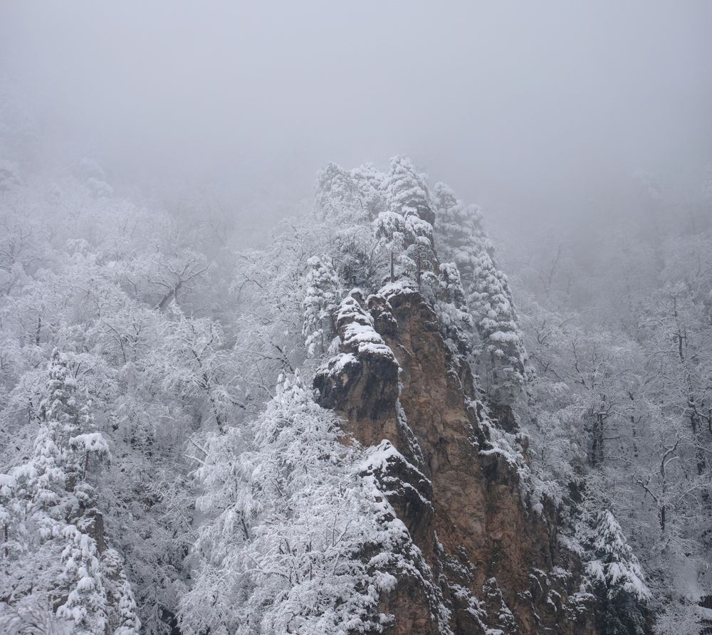 Фотография автора Алексей Бордуков