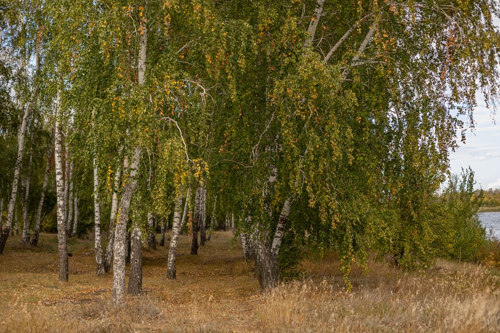 Photograph by Татьяна Гузева