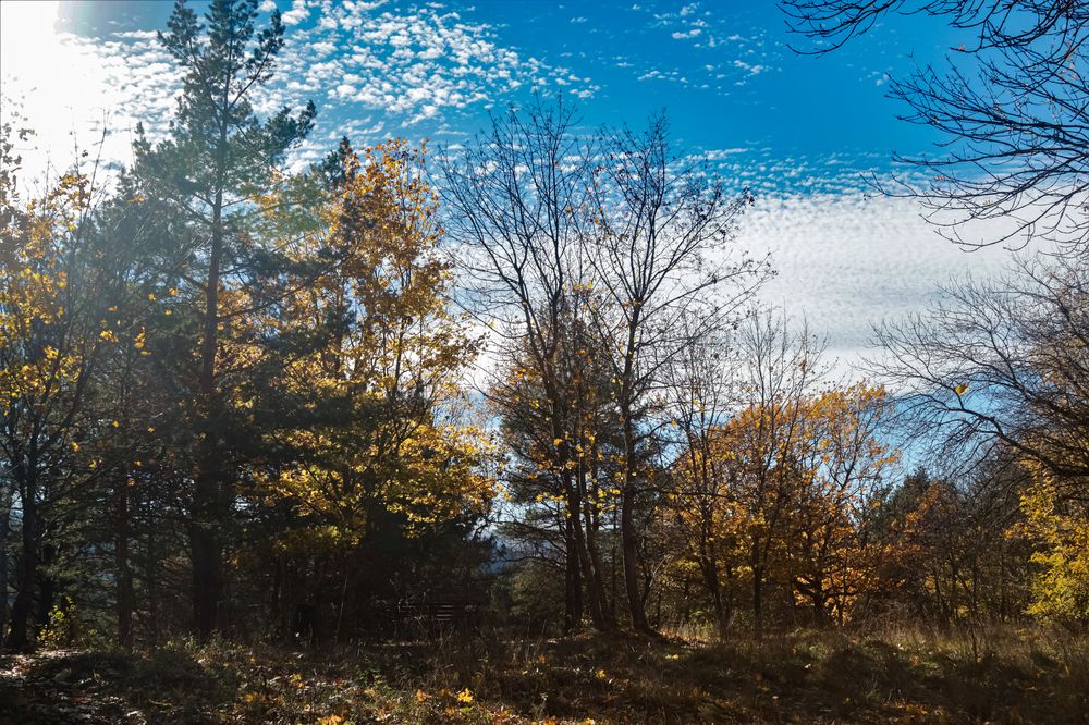 Photograph by Дмитрий Ковшов