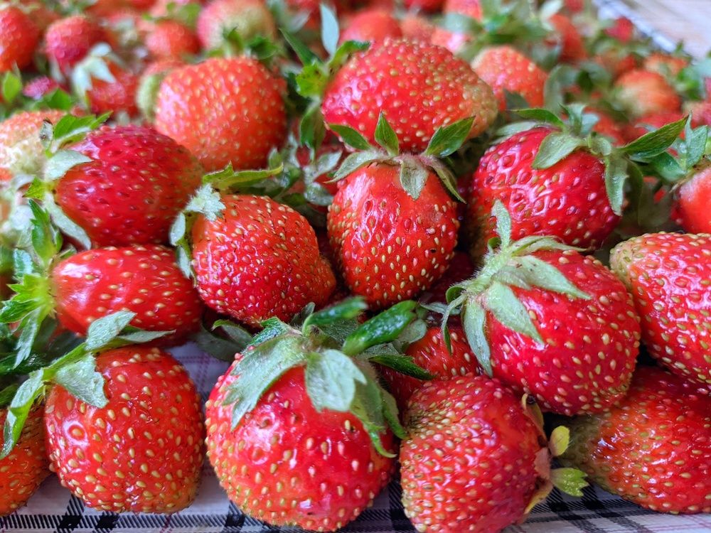 Фотография автора Зыбин Владимир