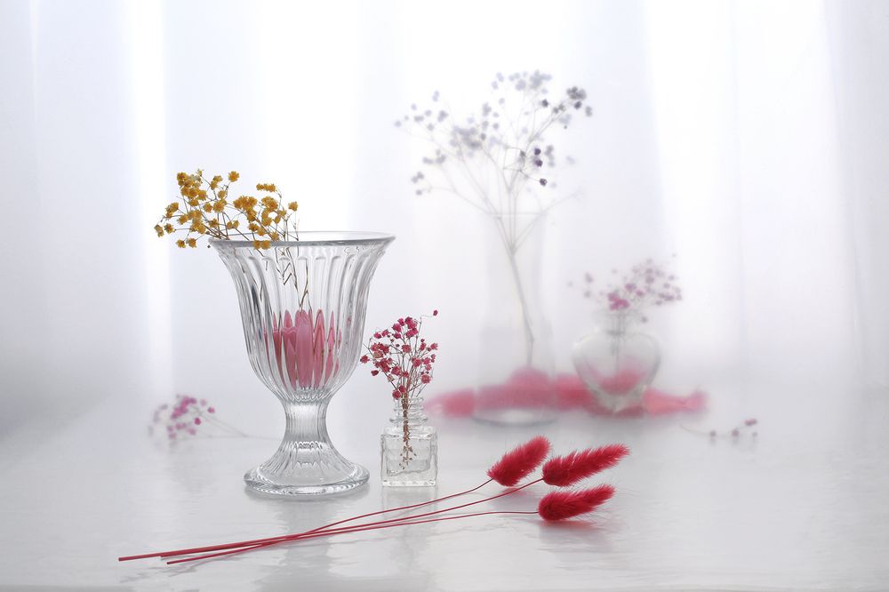 Россыпь гипсофилы