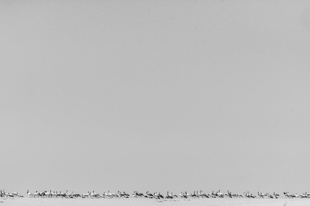 Photograph by Kshitij Patle