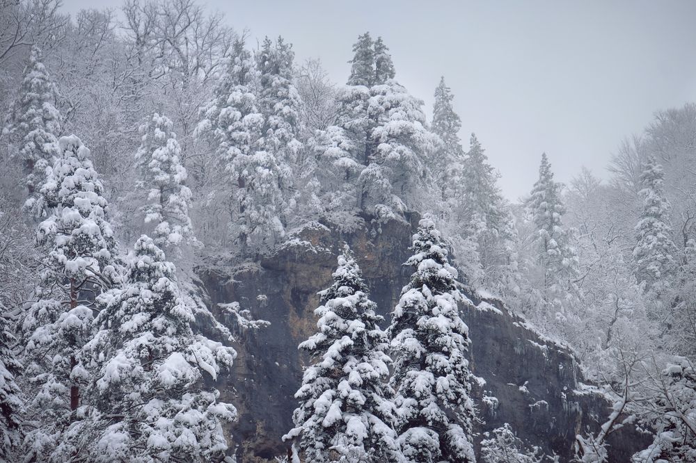 Фотография автора Алексей Бордуков