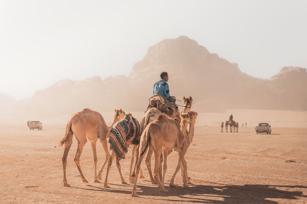 Photograph by Natalie Snider