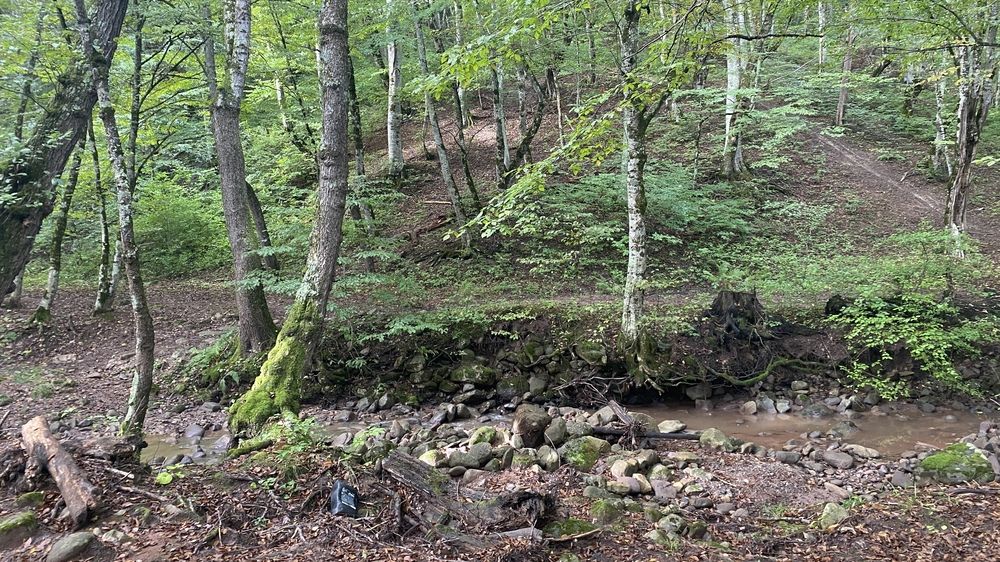 Photograph by Сергей Смирнов