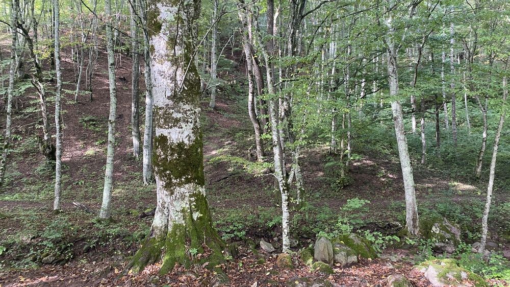 Photograph by Сергей Смирнов