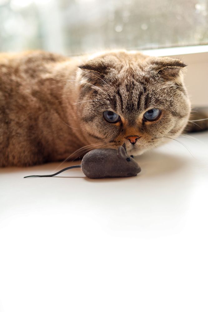 Photograph by Екатерина Козлова