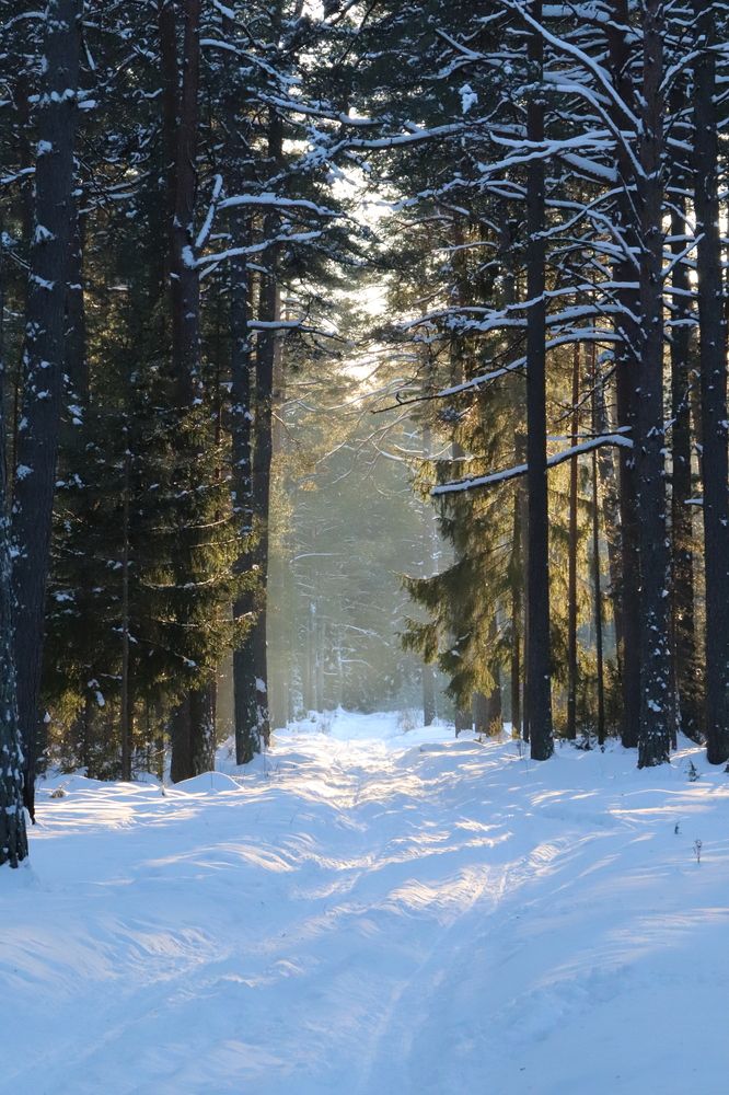 Фотография автора Алексан Арт