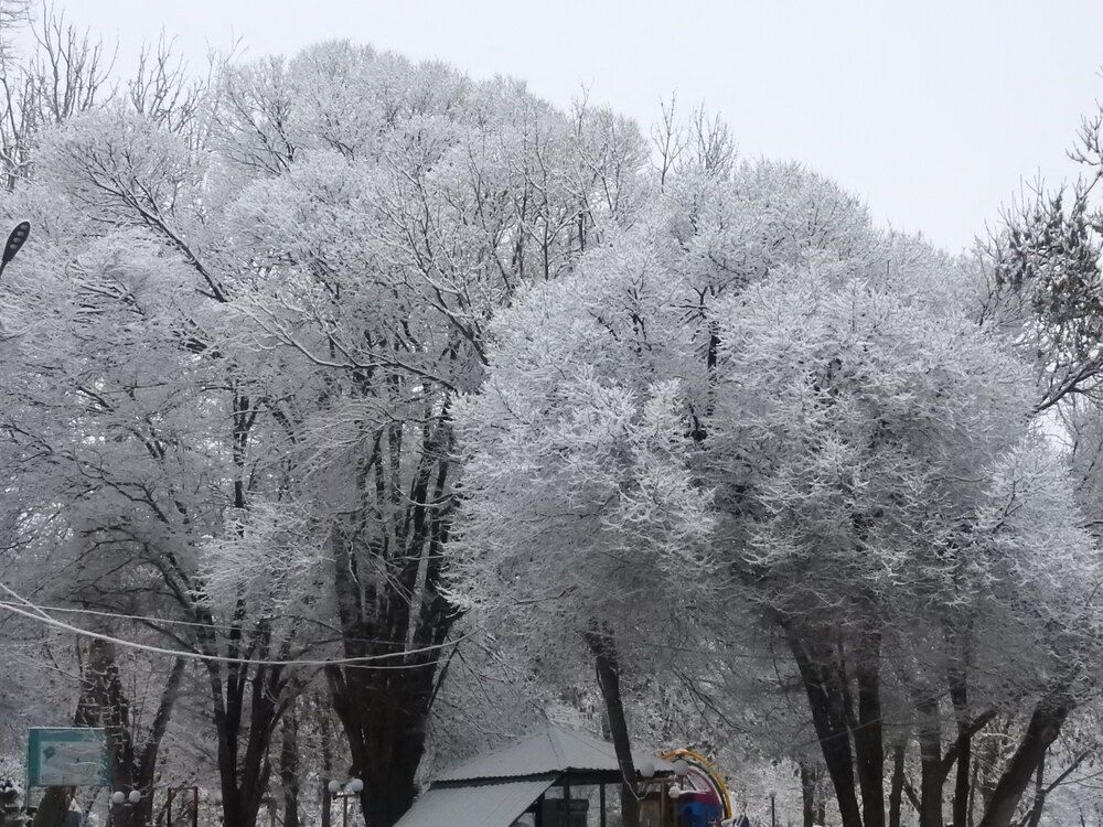 Фотография автора Shavkat Tojiyev