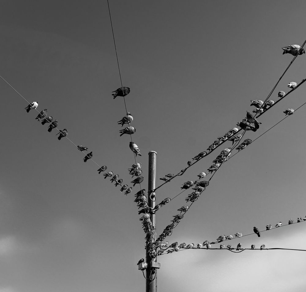 Photograph by Eva Wiedemann