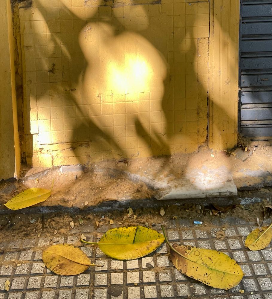 Photograph by Rada Olshevskaya