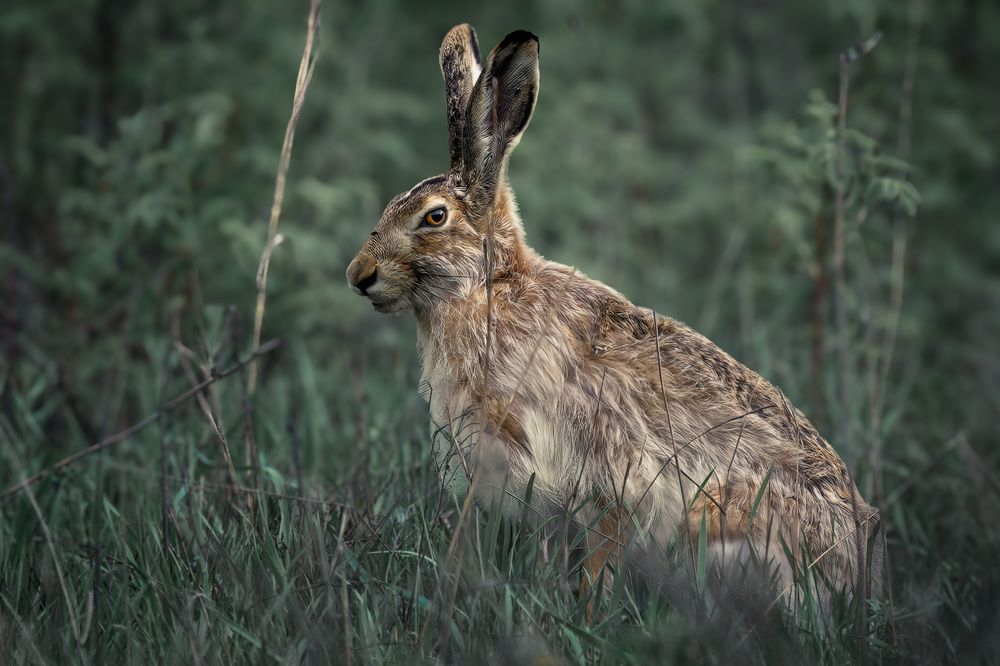 Photograph by Вячеслав Ладанов