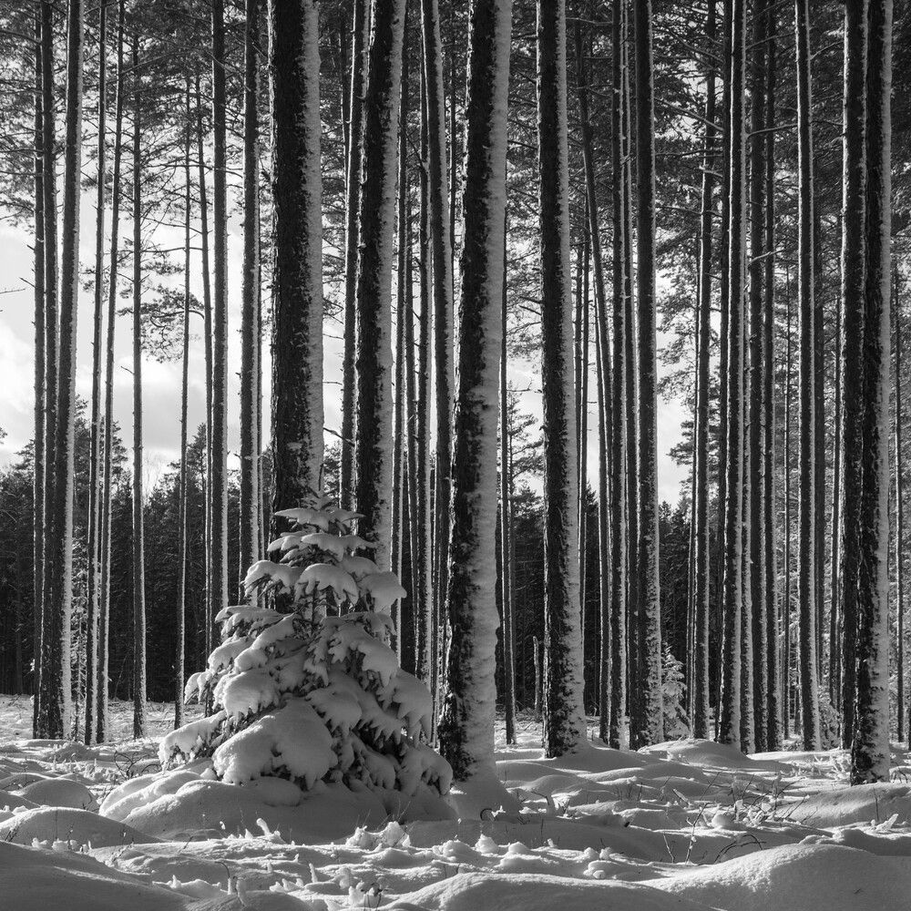 Photograph by Līga Sondare