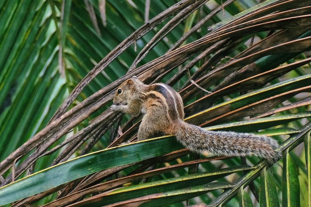 Photograph by Ilia Dmitriev