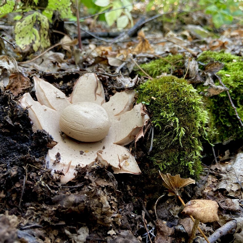 Photograph by Julia Grischenko