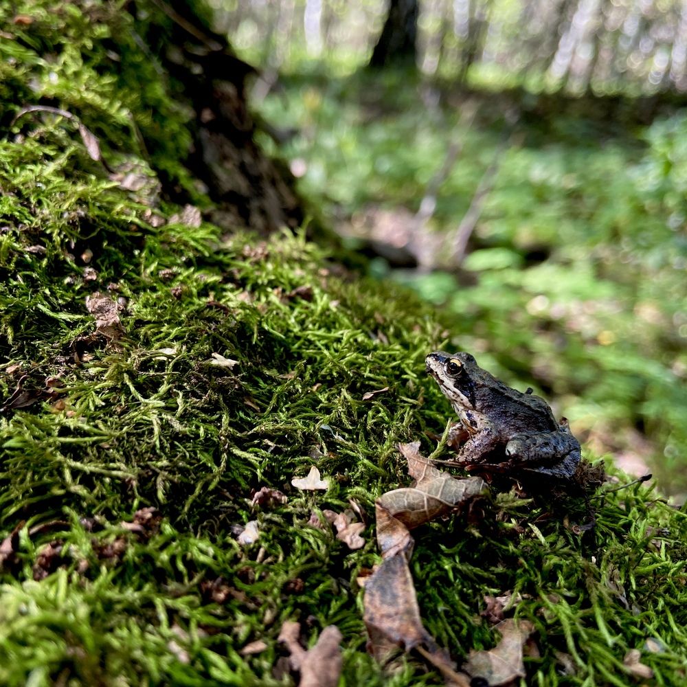 Photograph by Julia Grischenko