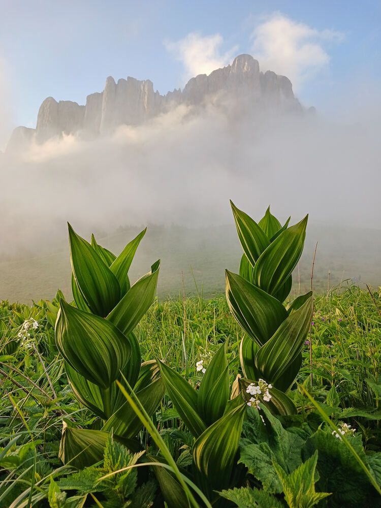 Photograph by Александр Авдушев
