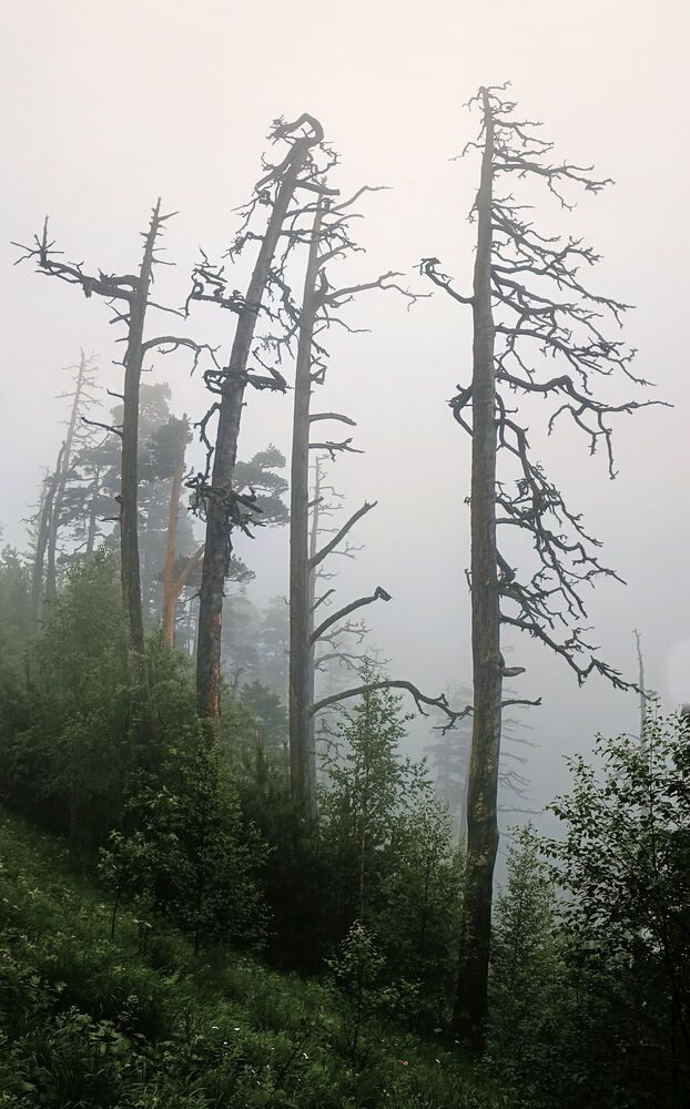 Photograph by Александр Авдушев