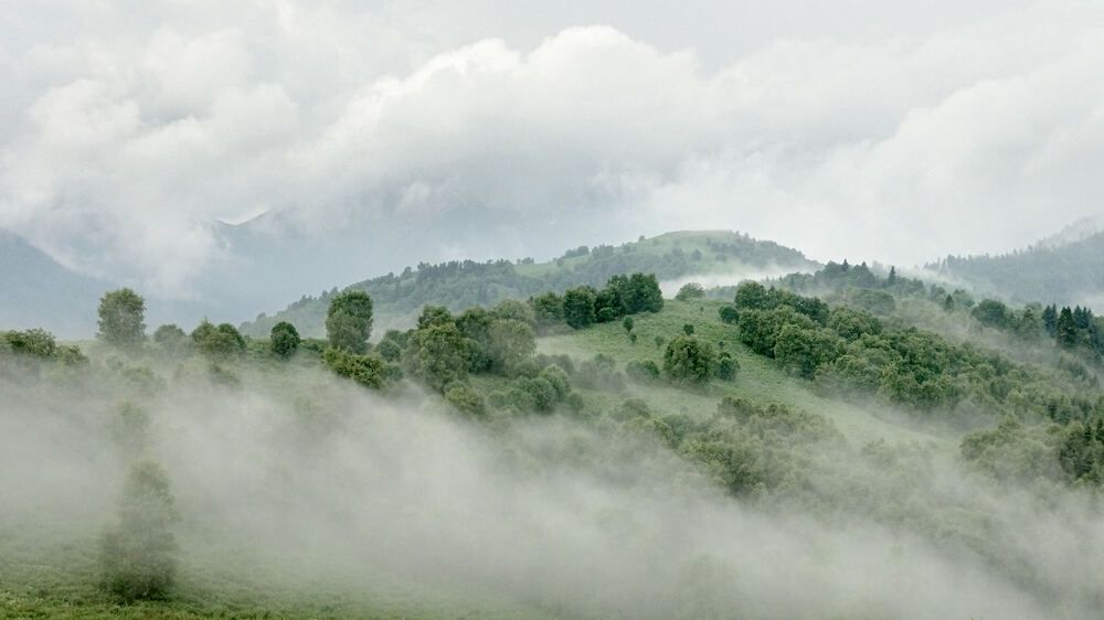 Photograph by Александр Авдушев