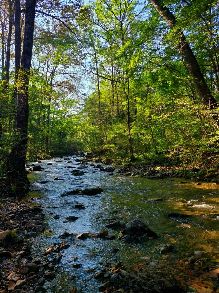 Photograph by Татьяна Бухтиярова