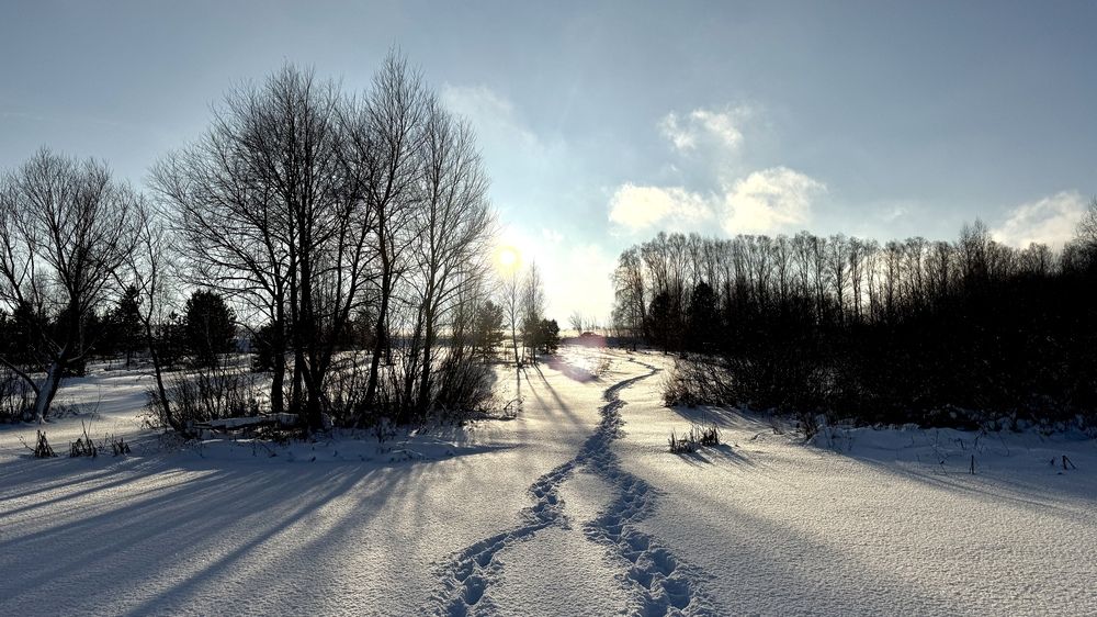 Photograph by Julia Grischenko