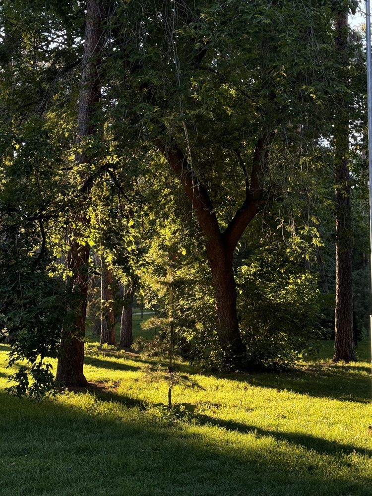 Photograph by Екатерина Мирошникова