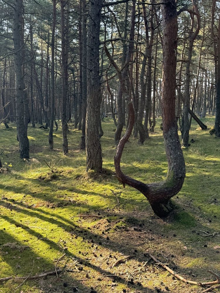 Photograph by Екатерина Мирошникова