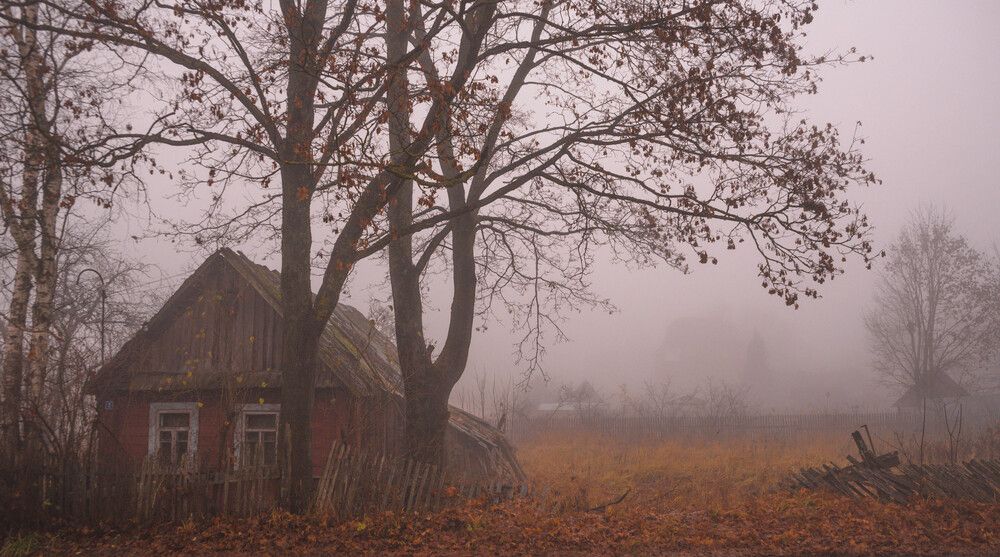 Фотография автора Андрей Меньших