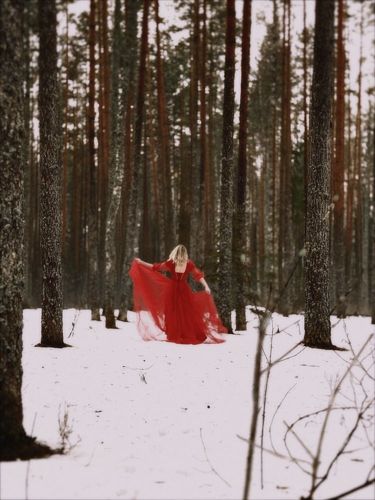 Фотография автора Дарья Викторова