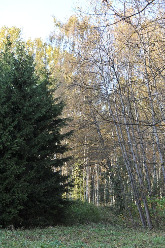 Photograph by тимофей