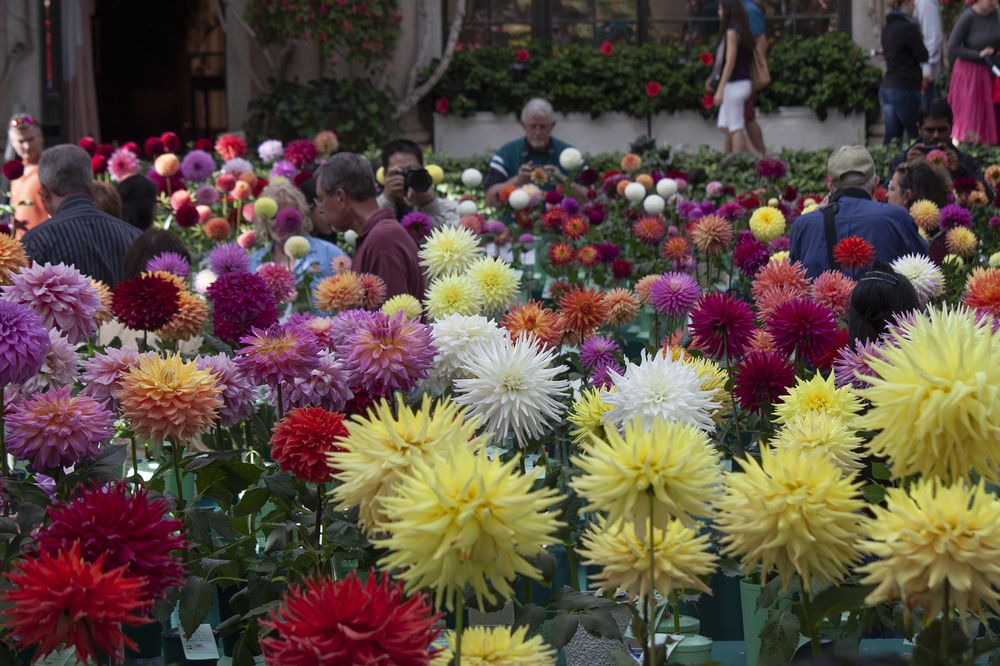 Photograph by Миронова Мила