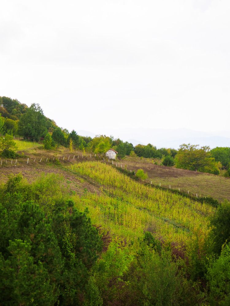 Фотография автора NECMETTİN SOBUTAY