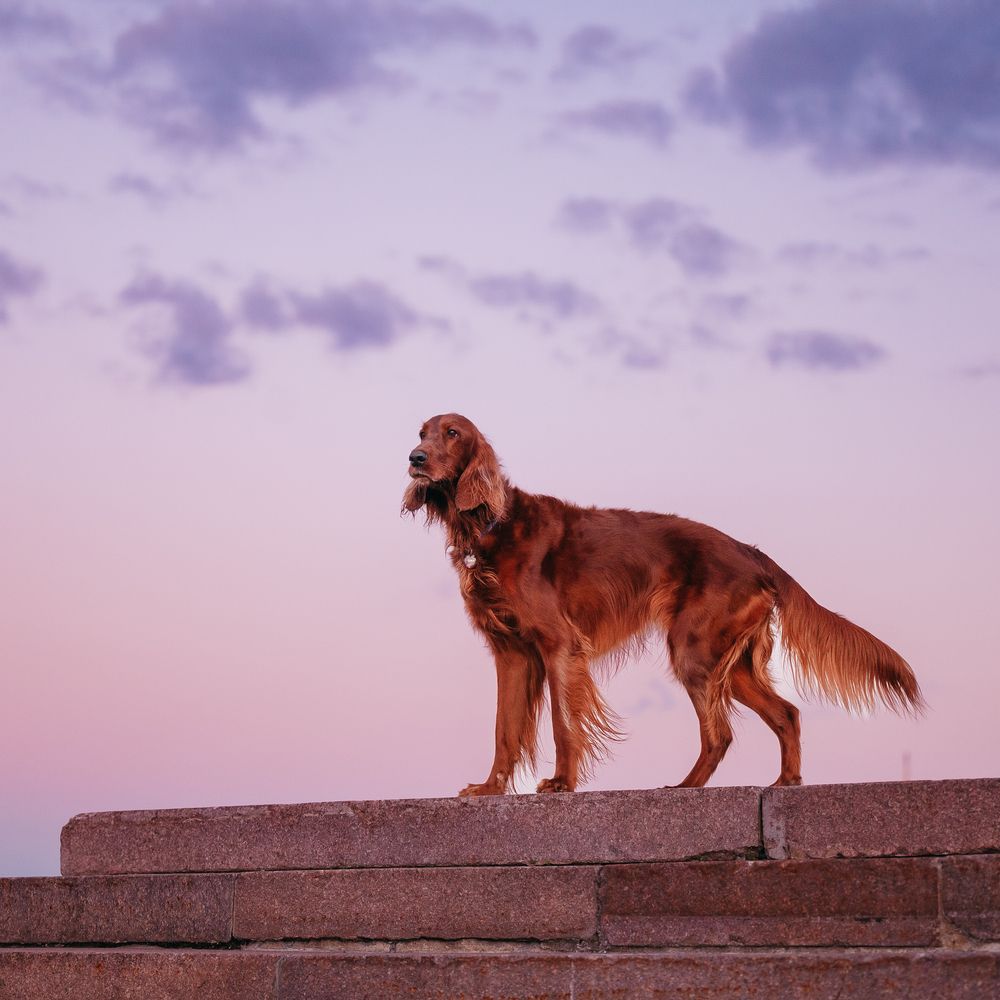 Photograph by Мария Ананьева