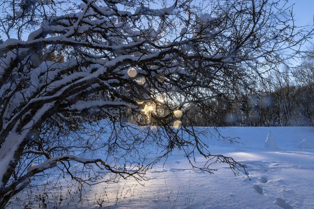 Photograph by Наталья Катюжанская