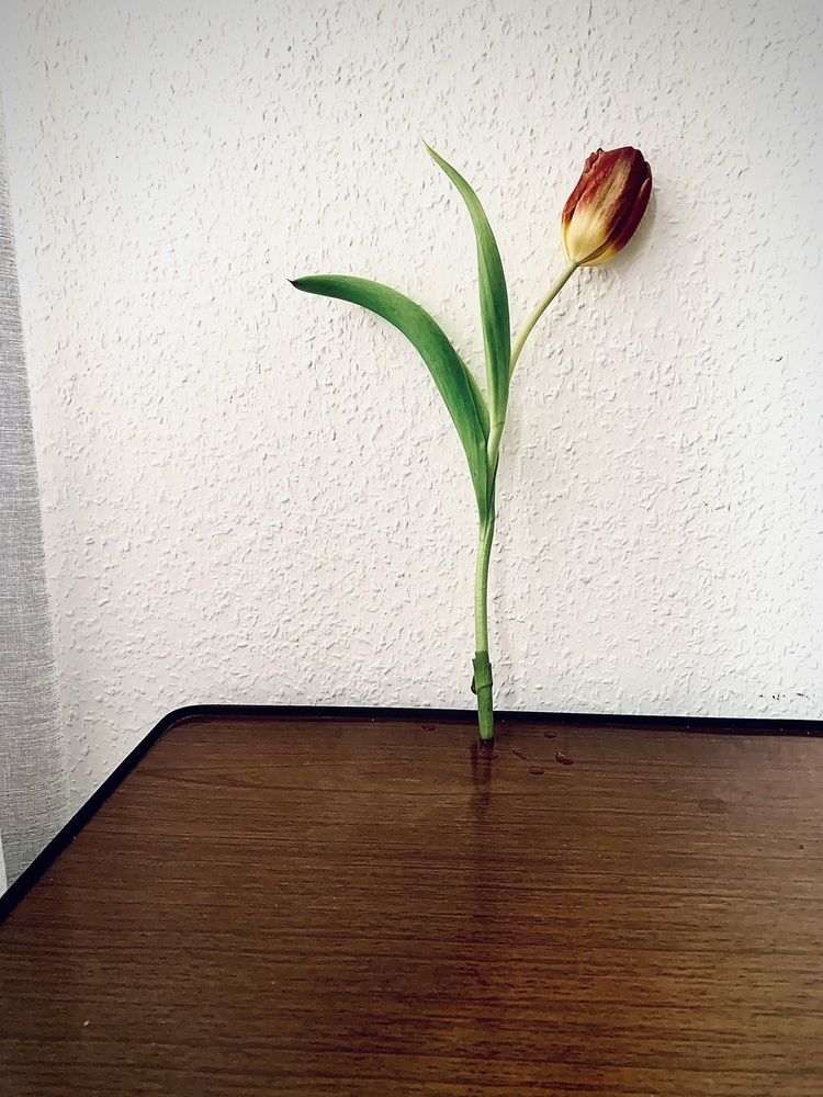 Photograph by Анастасия Мангольд