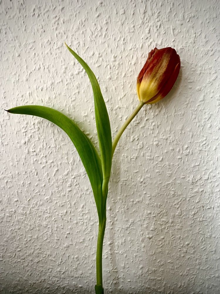 Photograph by Анастасия Мангольд