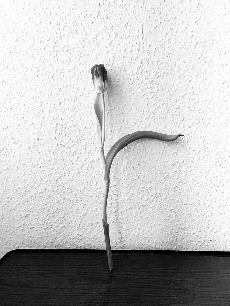 Photograph by Анастасия Мангольд