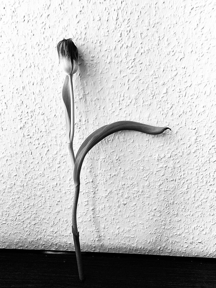 Photograph by Анастасия Мангольд