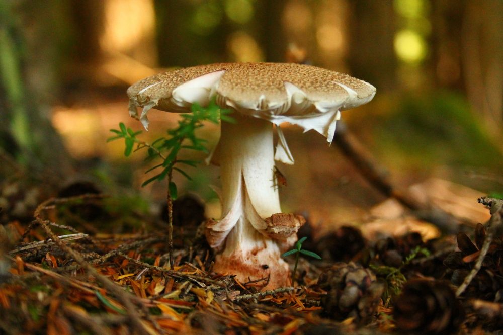 Photograph by Inese Firsova