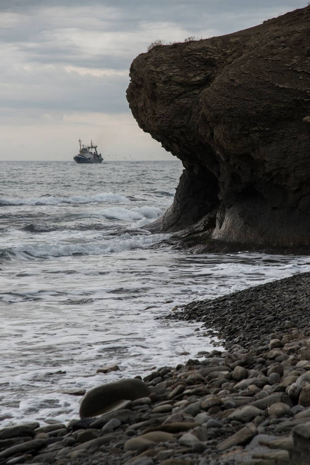 Photo #11832770