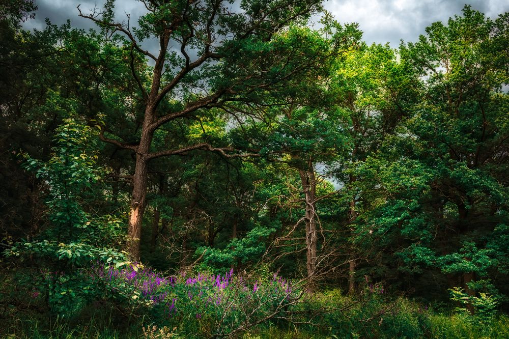 Фотография автора Оксана Ильченко