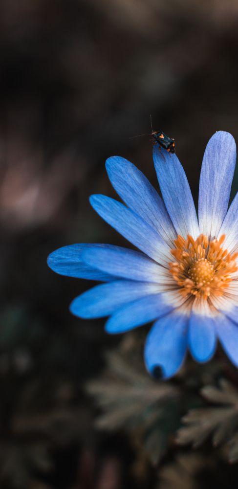 Photograph by Алексей Иванов