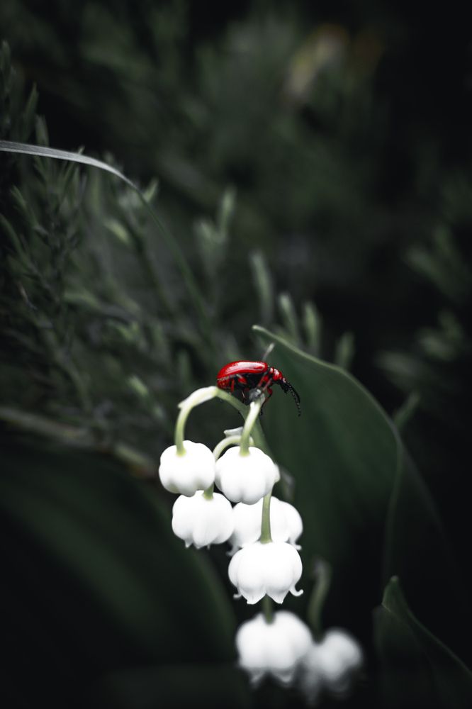 Photograph by Алексей Иванов